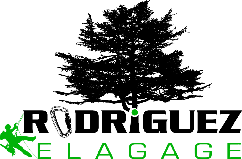SAS Rodriguez Élagage