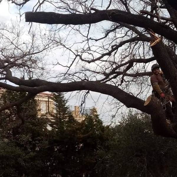 laguer3 (1)