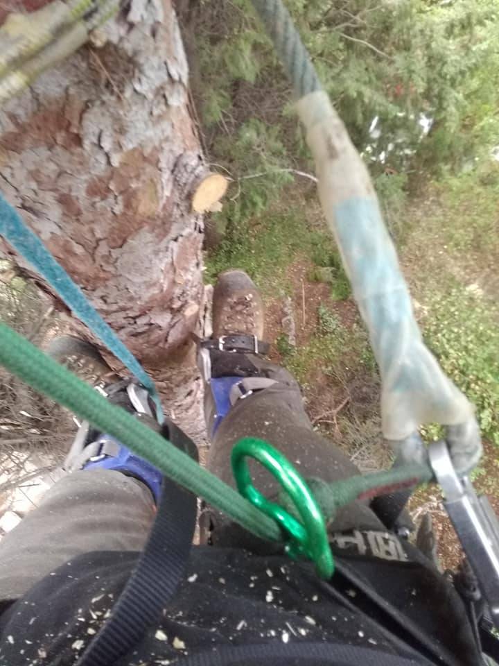 laguer2