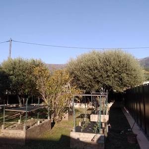 Travaux forestiers à Berre-les-Alpes - Rodriguez Élagage16