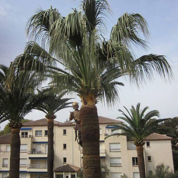 photo 09