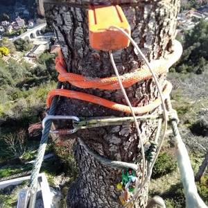Travaux forestiers à Berre-les-Alpes - Rodriguez Élagage13