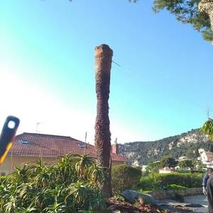 Travaux forestiers à Berre-les-Alpes - Rodriguez Élagage4