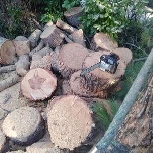 Travaux forestiers à Berre-les-Alpes - Rodriguez Élagage10